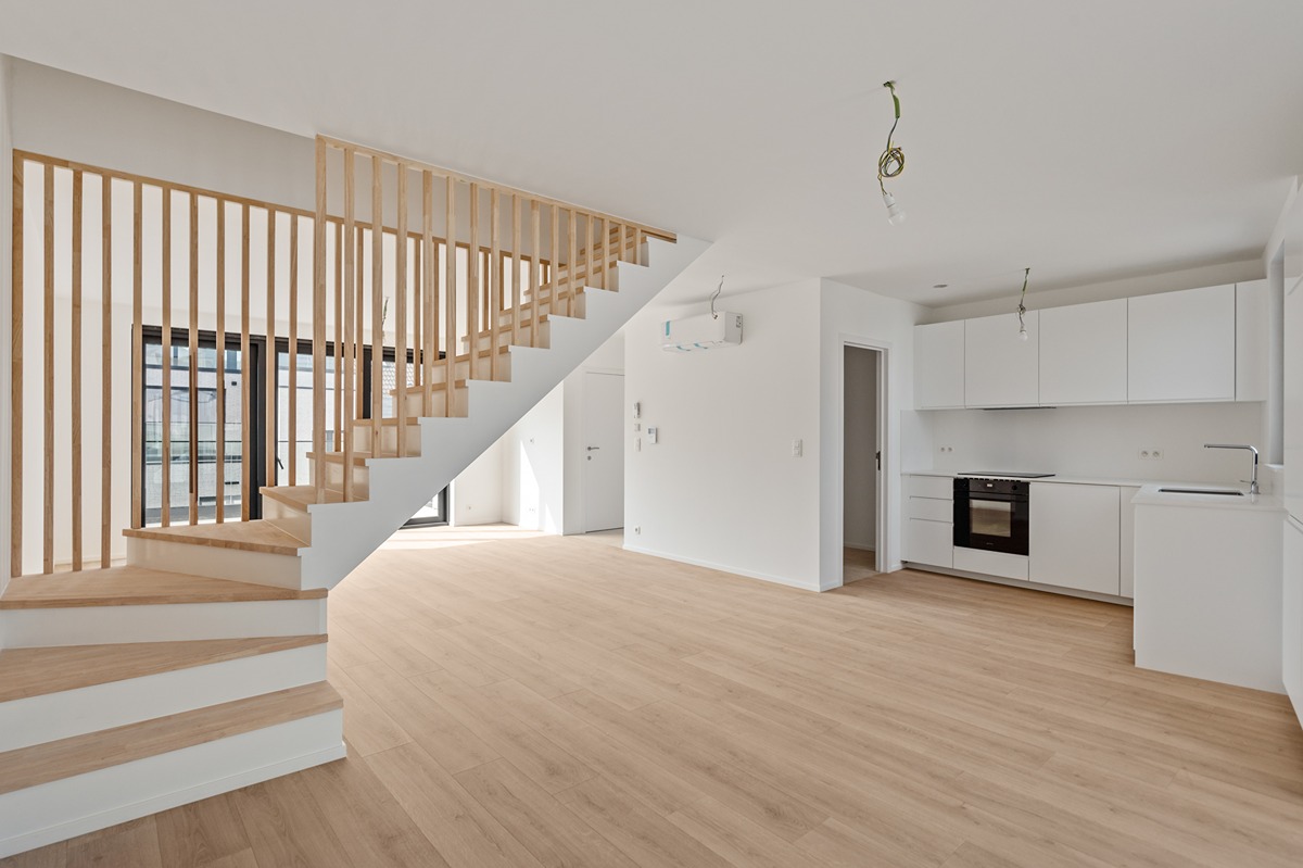 ring consult nolet de brauwerestraat 12 vilvoorde-15