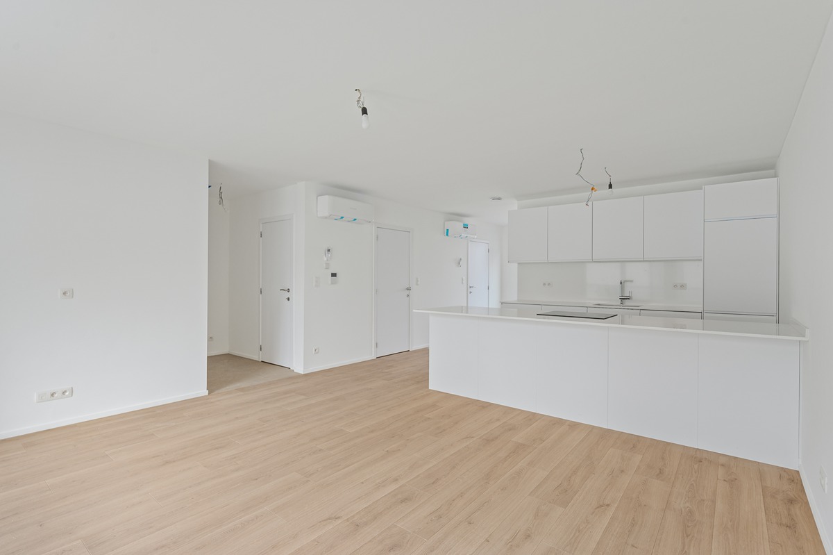 ring consult nolet de brauwerestraat 12 vilvoorde-2