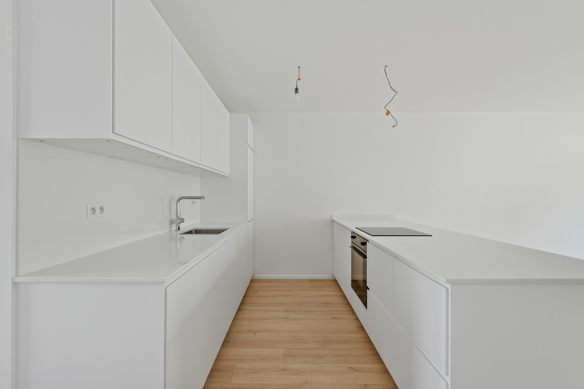 ring consult nolet de brauwerestraat 12 vilvoorde-3
